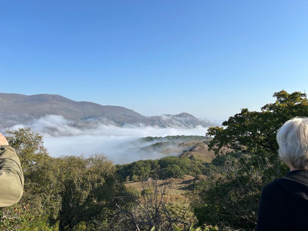 6f70593a 9003 4213 9948 eef6a6914205 - Priorty Transfers & Tours ireland