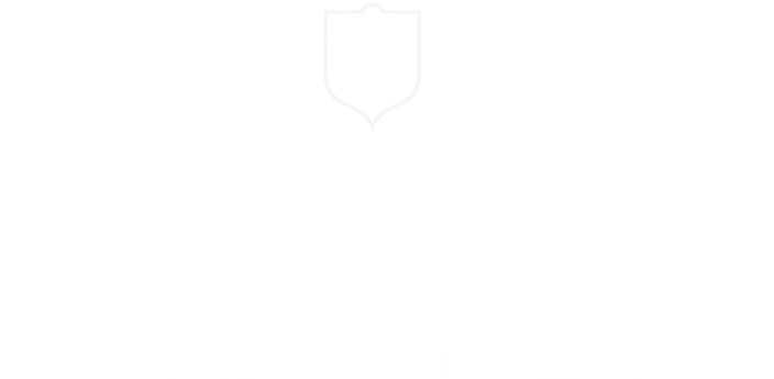 priority transfers Ireland logo