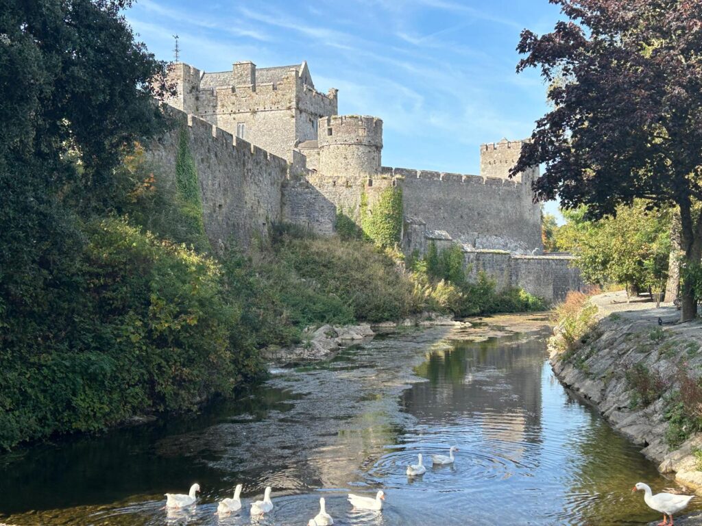 Priortiytours2025 01 02 at 19.36.01 - Priorty Transfers & Tours ireland