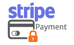Secure Payment Card Icon